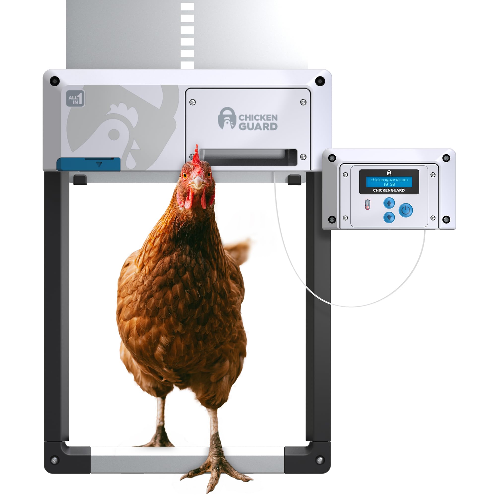 CHICKENGUARD Automatic Chicken Coop Door Opener All in One – Carolina Coops  Flock Shop