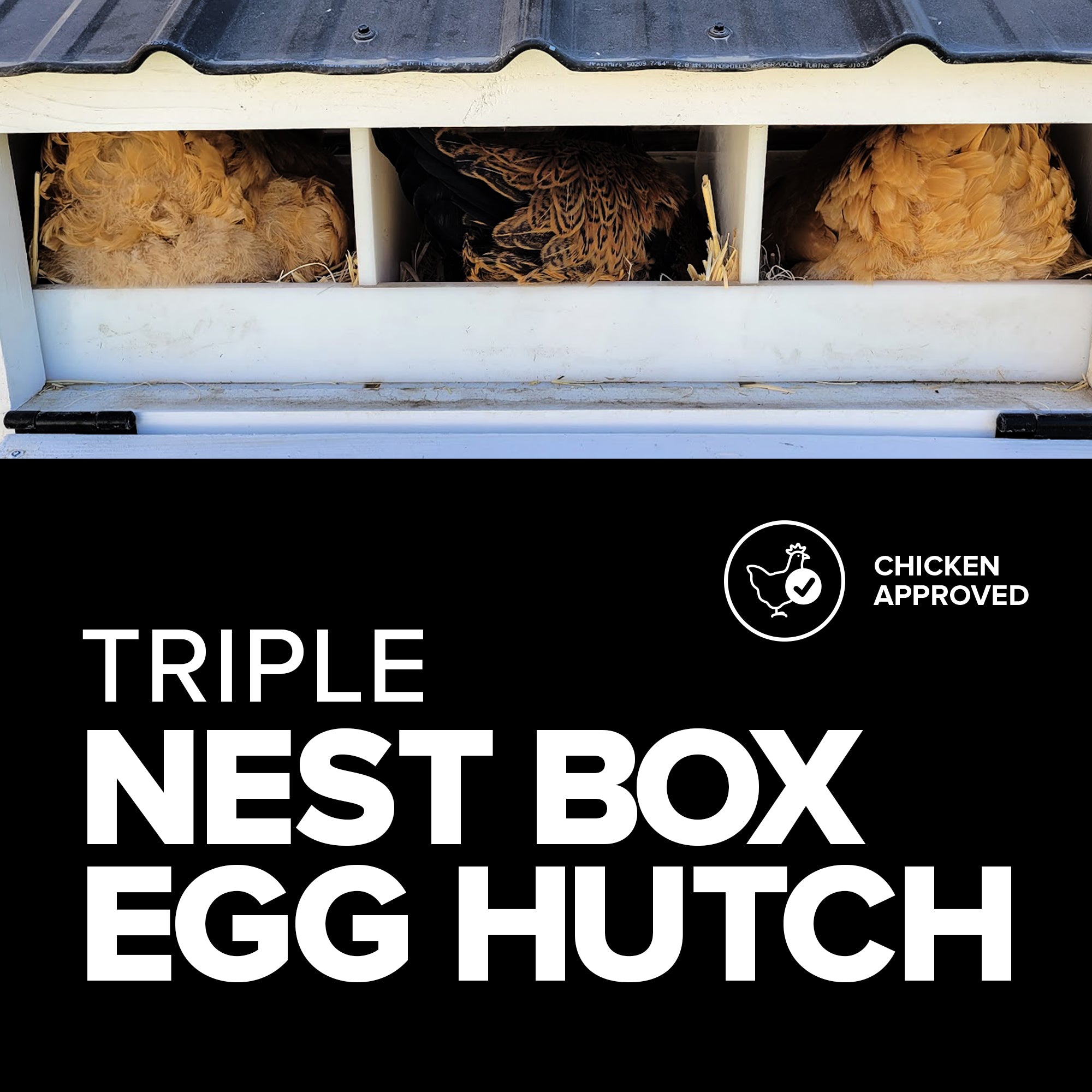 Triple Nest Box Egg Hutch | American Coop Style